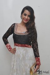 Diksha Panth at Gopala Gopala Movie Audio Launch